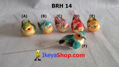 BRH 14 a  large2